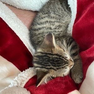 Meet your Posher, Casey